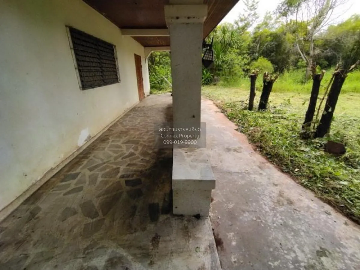 ขายบ้านเดี่ยว กุมภวาปี อุดรธานี วิวสวย หน้ากว้าง ปะโค กุมภวาปี อุ