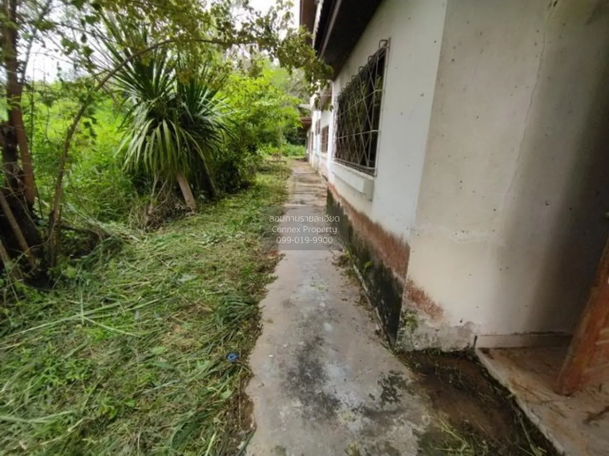 ขายบ้านเดี่ยว กุมภวาปี อุดรธานี วิวสวย หน้ากว้าง ปะโค กุมภวาปี อุ