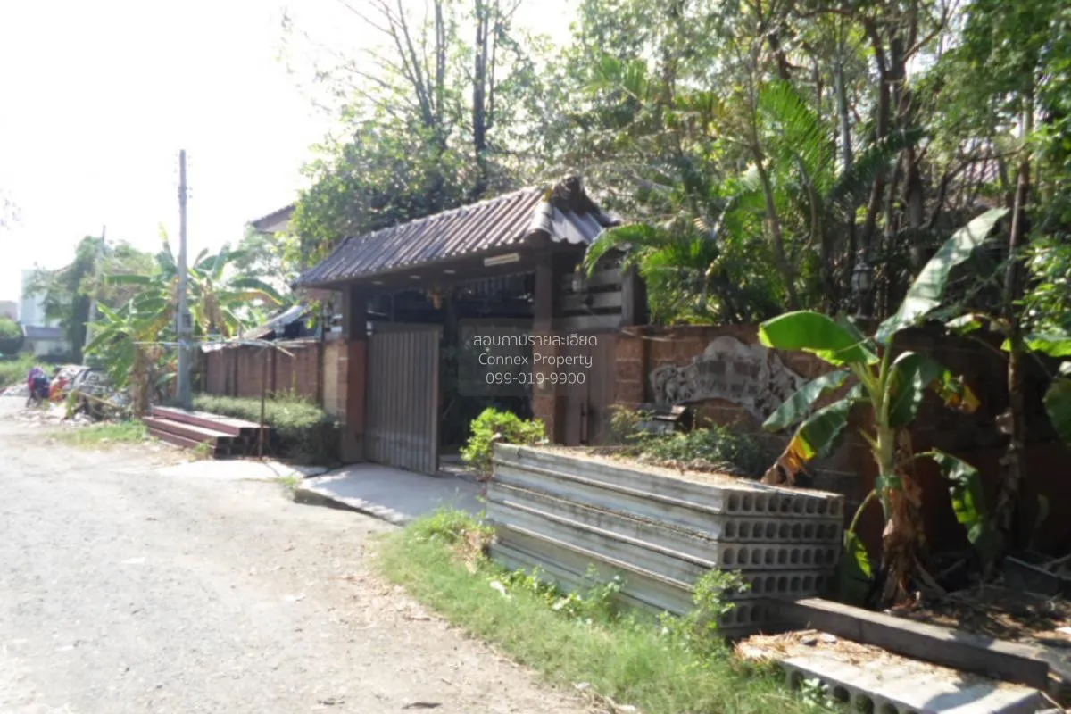 ขายบ้านเดี่ยว ซอยพัฒนาชุมชน 1 แยกจากซอยศรีด่าน 22 บางแก้ว บางพลี  2