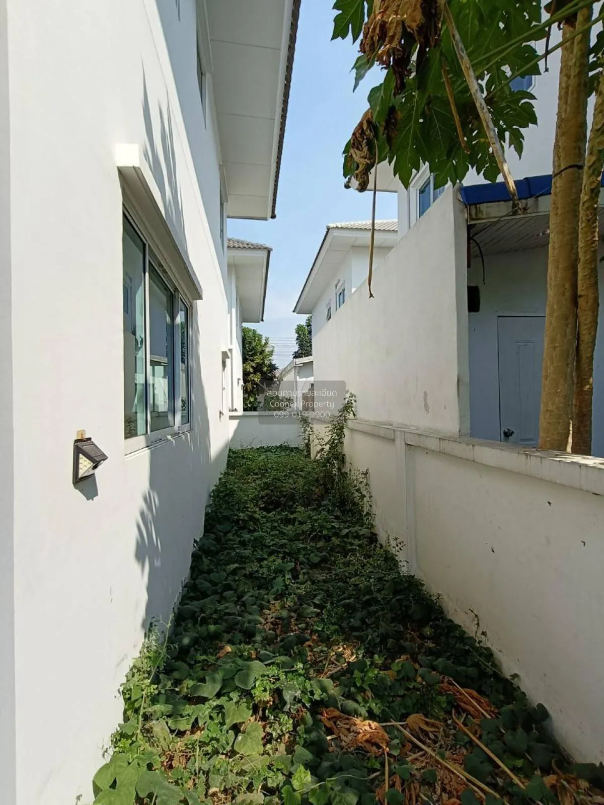 For Sale House , Lalin Town Lanceo CRIB Phetkasem- Phutthamonthon