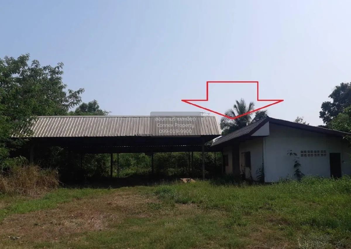 ขายอาคารสำนักงาน สกลนคร แร่ พังโคน สกลนคร CX-107823