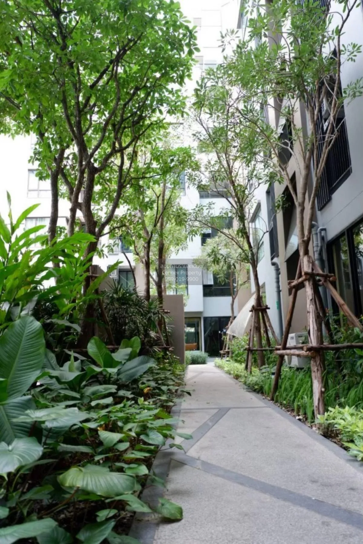 เช่าคอนโด  พรีมีโอ เฟรสโก MRT-ลาดปลาเค้า อนุสาวรีย์ เขต บางเขน กร