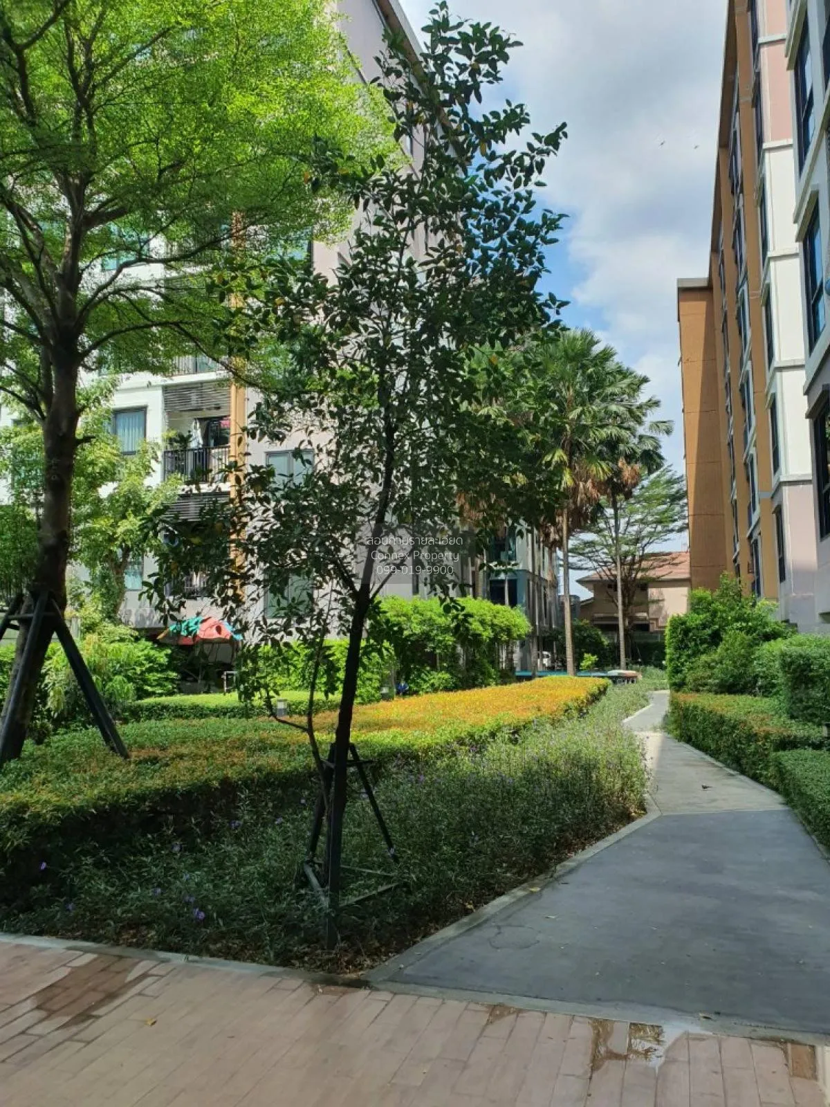 For Rent Condo , The Privacy Rewadee , MRT-Ministry of Pubic Heal