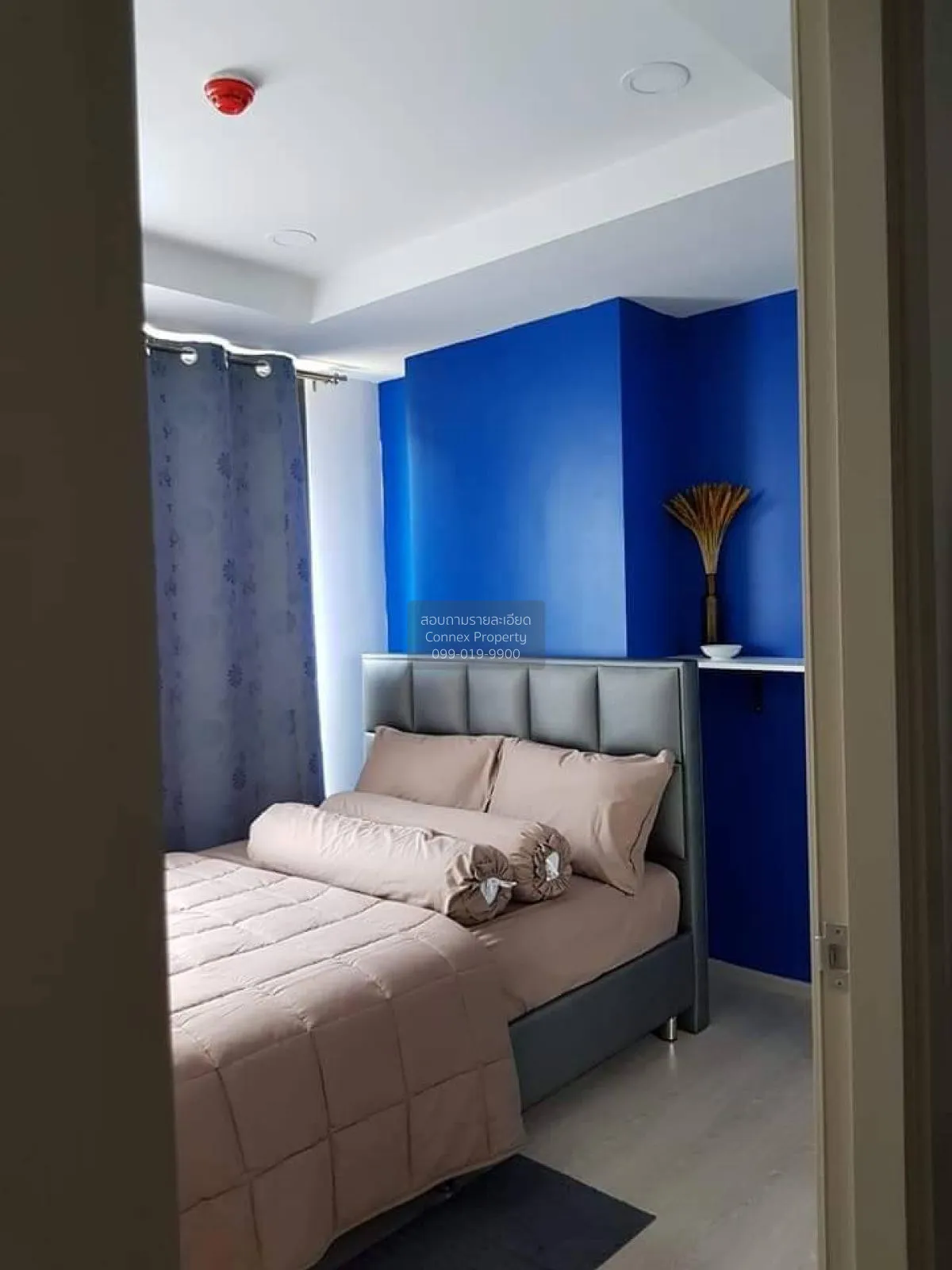 For Sale Condo , The Tree Sukhumvit 64 , BTS-Punnawithi , Phra Kh