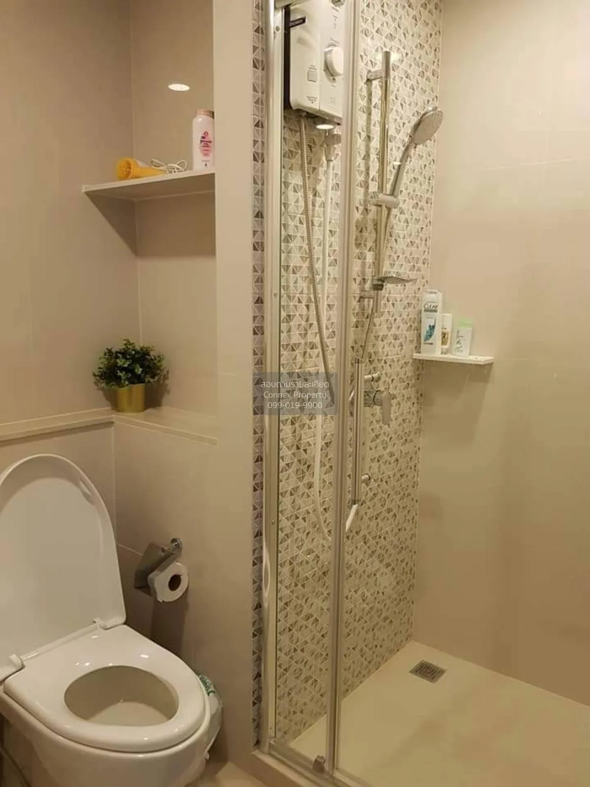 For Sale Condo , The Tree Sukhumvit 64 , BTS-Punnawithi , Phra Kh