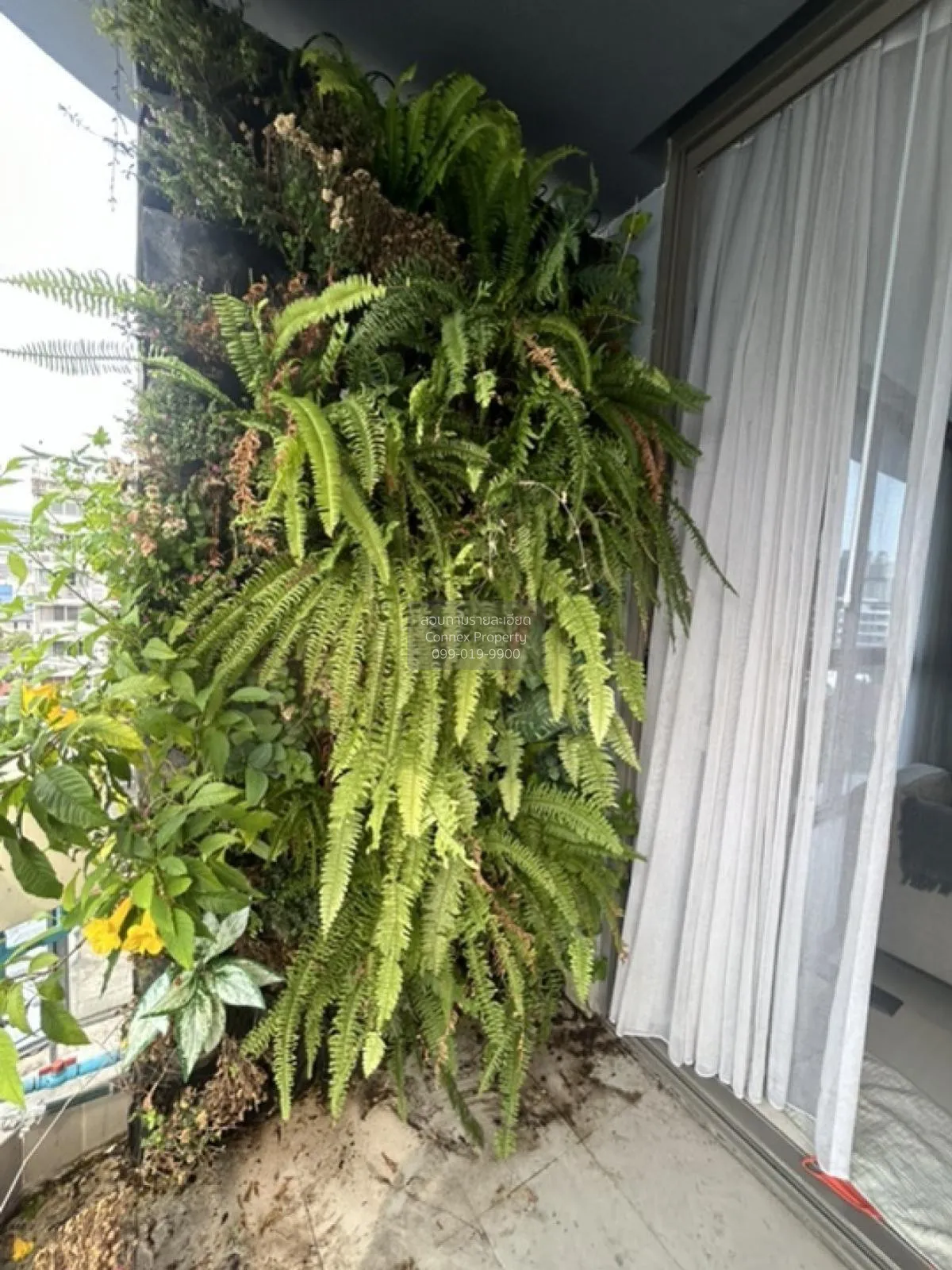 For Sale Condo , Downtown 49 , BTS-Thong Lo , Khlong Tan Nuea , W 2