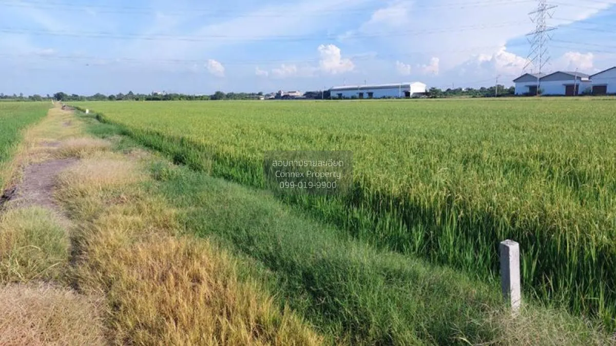 ขายที่ดินแบ่งขาย อ.ไทรน้อย ใกล้ถนนใหญ่ 150 เมตร  ราษฎร์นิยม ไทรน้ 2