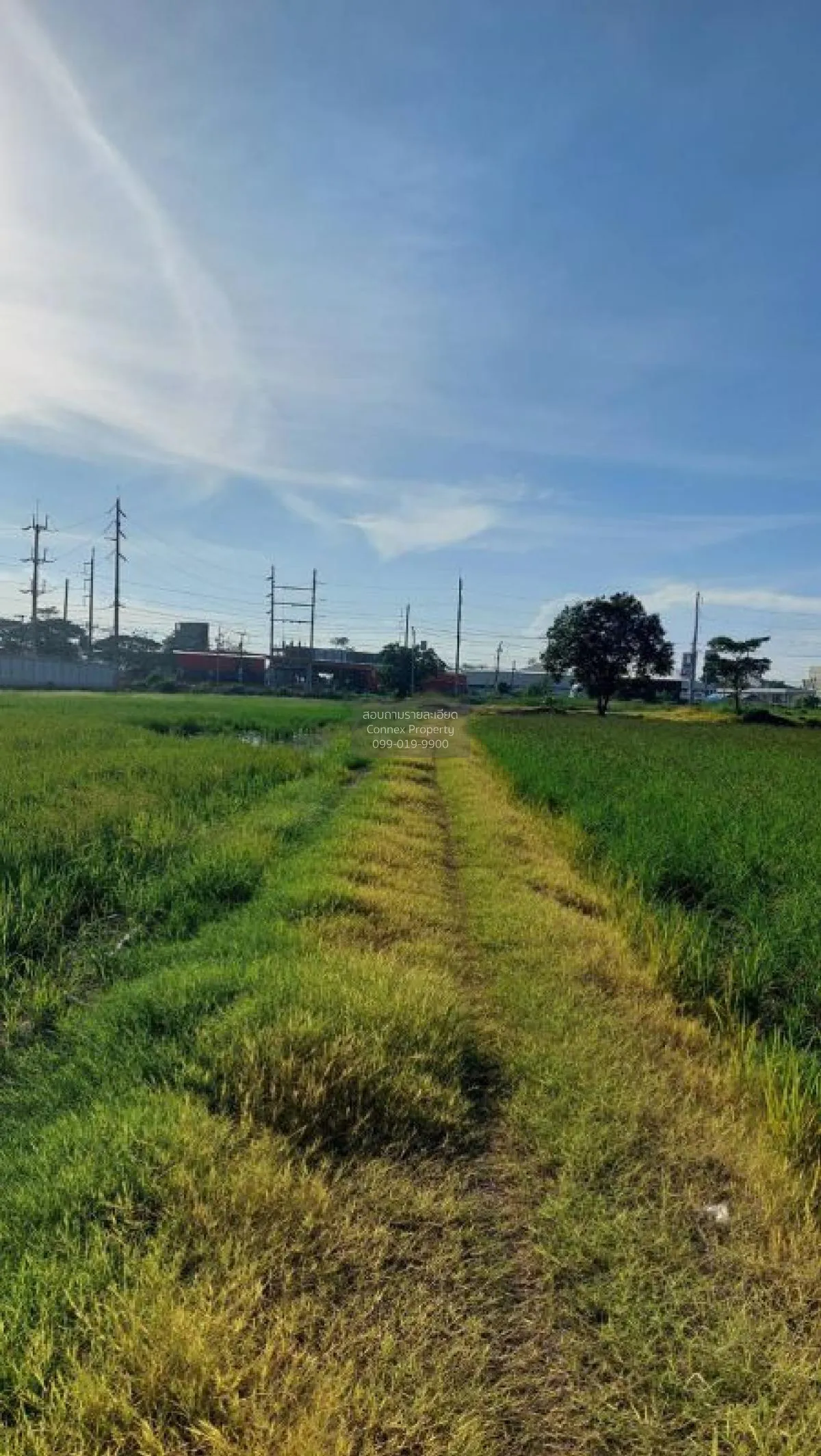 ขายที่ดินแบ่งขาย อ.ไทรน้อย ใกล้ถนนใหญ่ 150 เมตร  ราษฎร์นิยม ไทรน้ 3