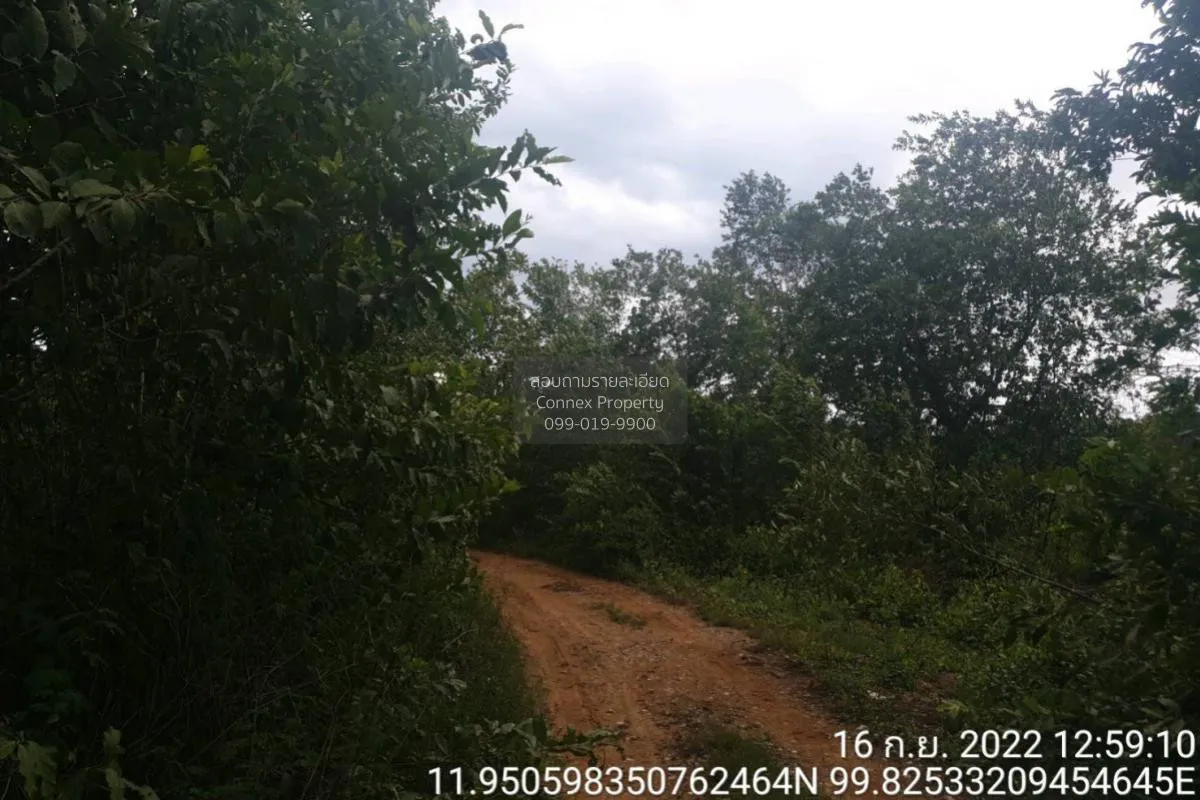 For Sale Vacant land, Prachuap Khiri Khan Province, 1 plot , Bo N 1