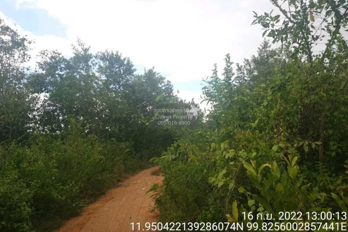 For Sale Vacant land, Prachuap Khiri Khan Province, 1 plot , Bo N 2