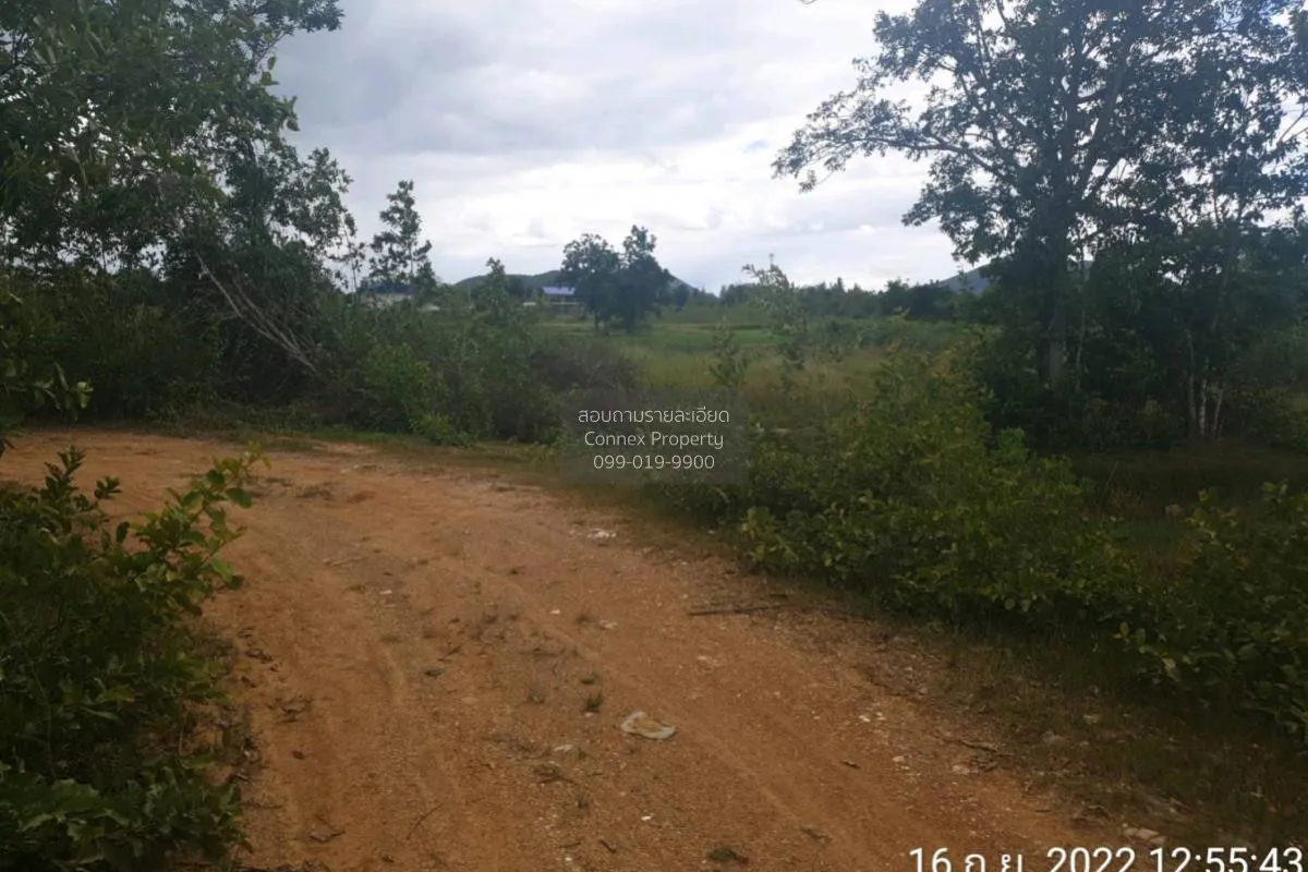 For Sale Vacant land, Prachuap Khiri Khan Province, 1 plot , Bo N 3