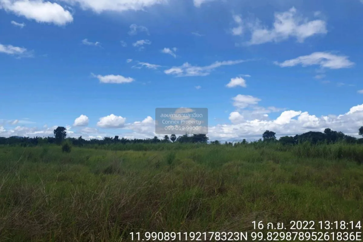 For Sale Vacant land, Prachuap Khiri Khan Province, 1 plot , Bo N 4