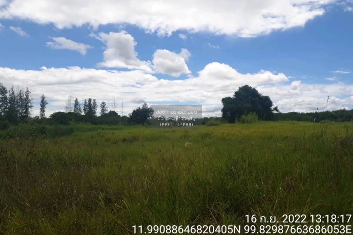 For Sale Vacant land, Prachuap Khiri Khan Province, 1 plot , Bo N