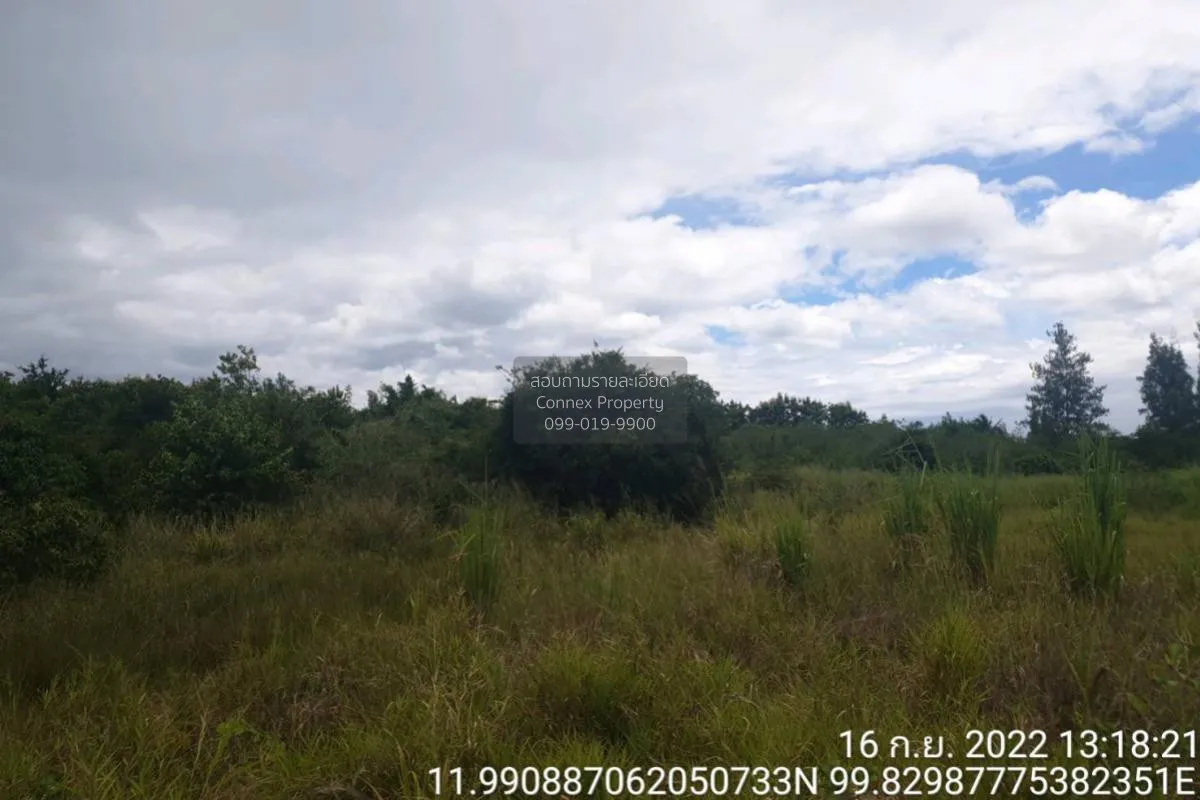 For Sale Vacant land, Prachuap Khiri Khan Province, 1 plot , Bo N