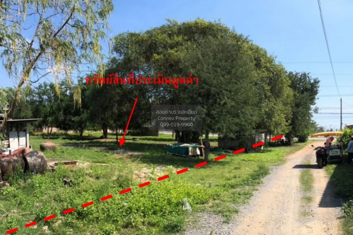 ขายที่ดินว่างเปล่า ติดถนนเพชรเกษม ตำบล บ่อนอก บ่อนอก เมืองประจวบค 2