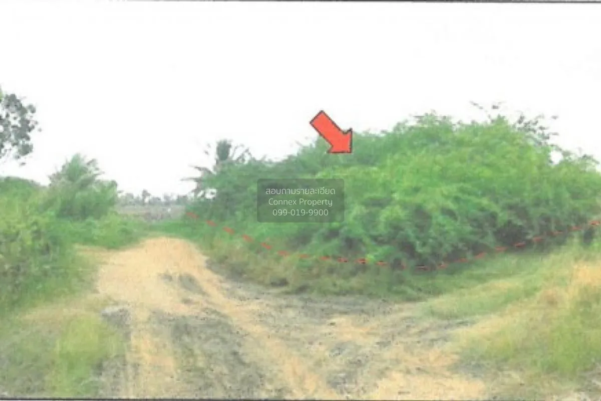 ขายที่ดินว่างเปล่า โครงการหาดเพชร แปลงที่ 1 ปึกเตียน ท่ายาง เพชรบ 3