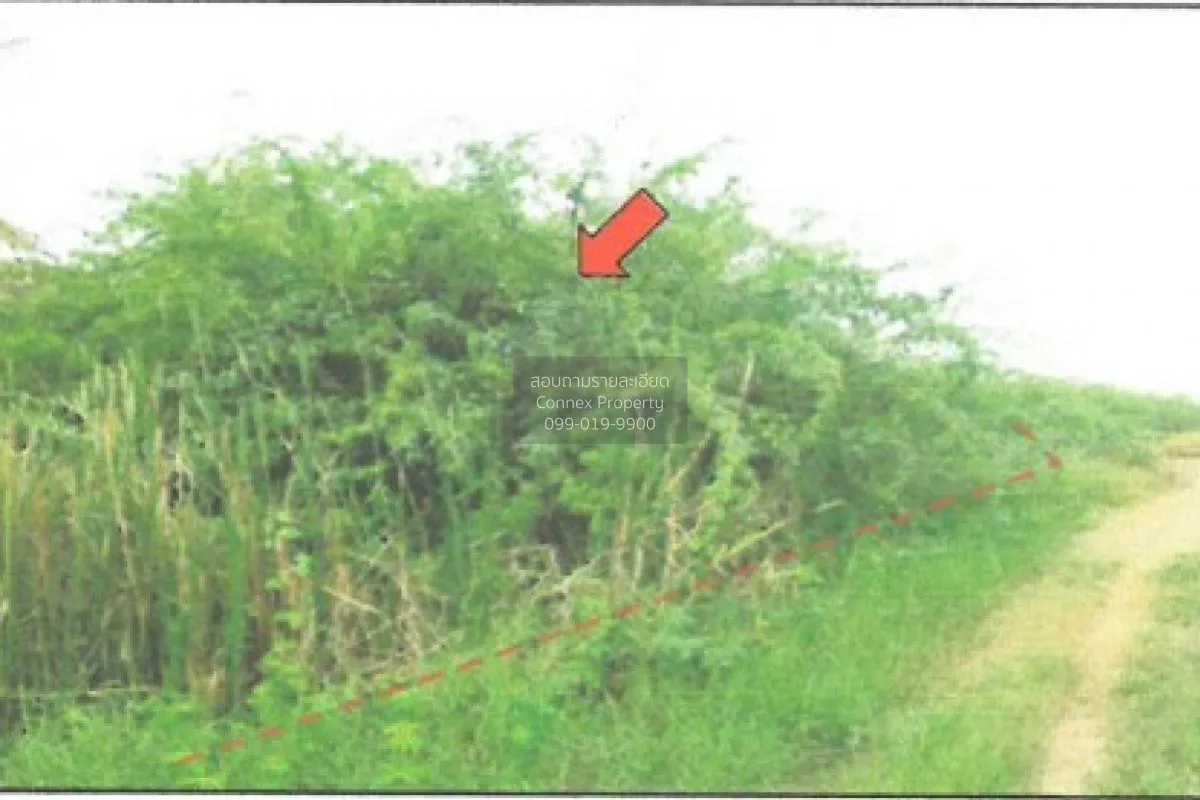 For Sale Vacant land Petch Muang Mai Beach Project Plot 3 , Puek  4