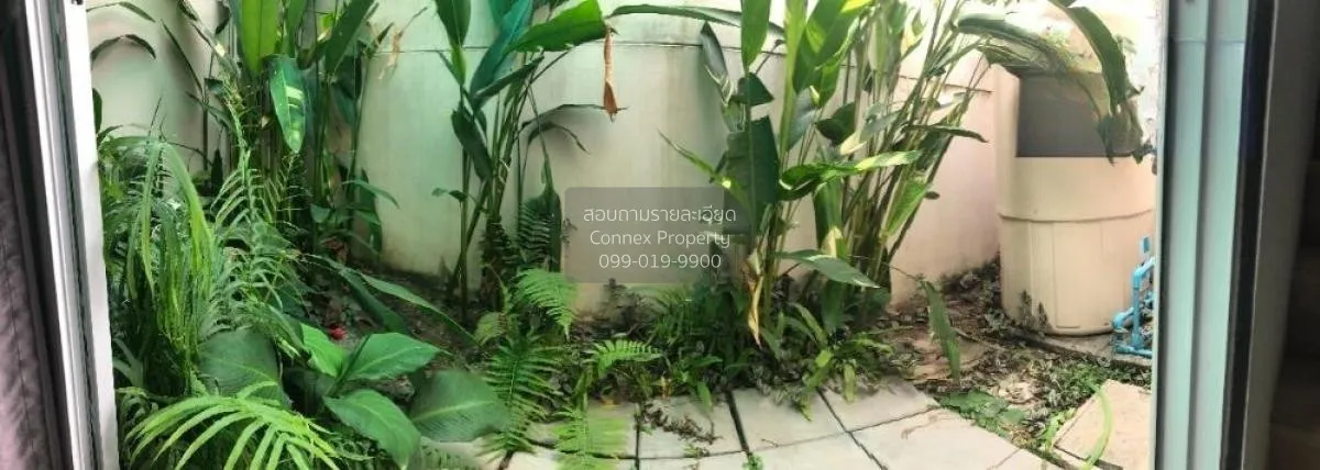 เช่าทาวน์เฮ้าส์/ทาวน์โฮม  อินดี้ บางนา กม 7 เฟส 1 บางแก้ว บางพลี 