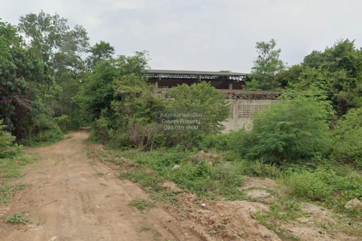 For Sale Land with buildings, Bang Klam Subdistrict, Songkhla Pro 2