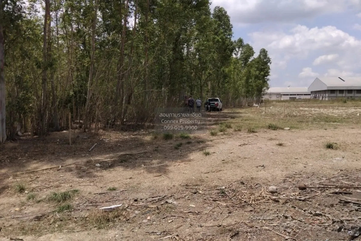 For Sale Empty land (Ban Non, Nong Yai) , Phak Kha , Watthana Nak