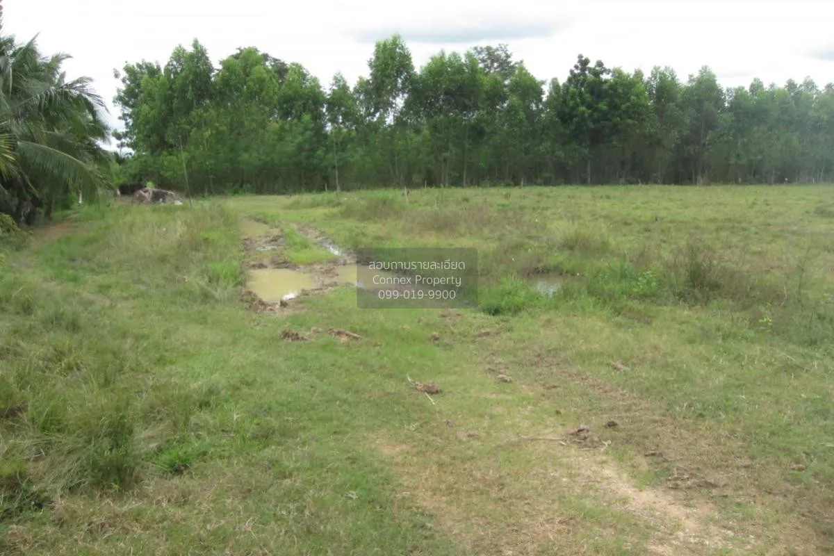 For Sale Empty land (Ban Non, Nong Yai) , Phak Kha , Watthana Nak 2