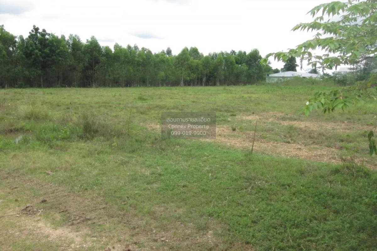 For Sale Empty land (Ban Non, Nong Yai) , Phak Kha , Watthana Nak 3