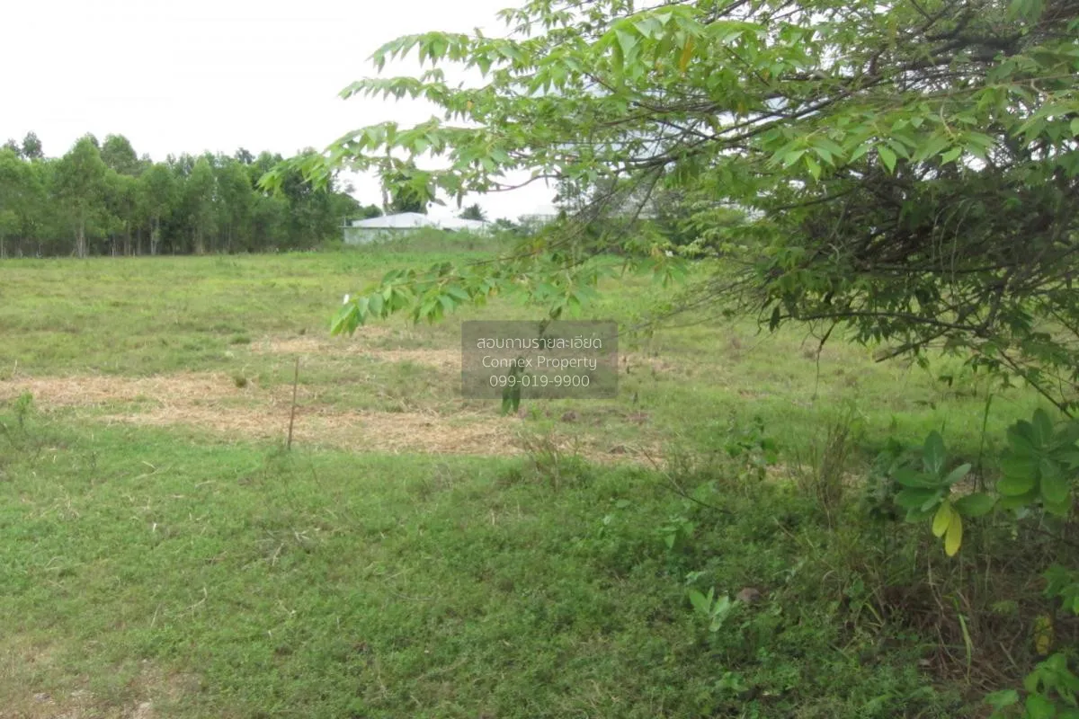 For Sale Empty land (Ban Non, Nong Yai) , Phak Kha , Watthana Nak 4