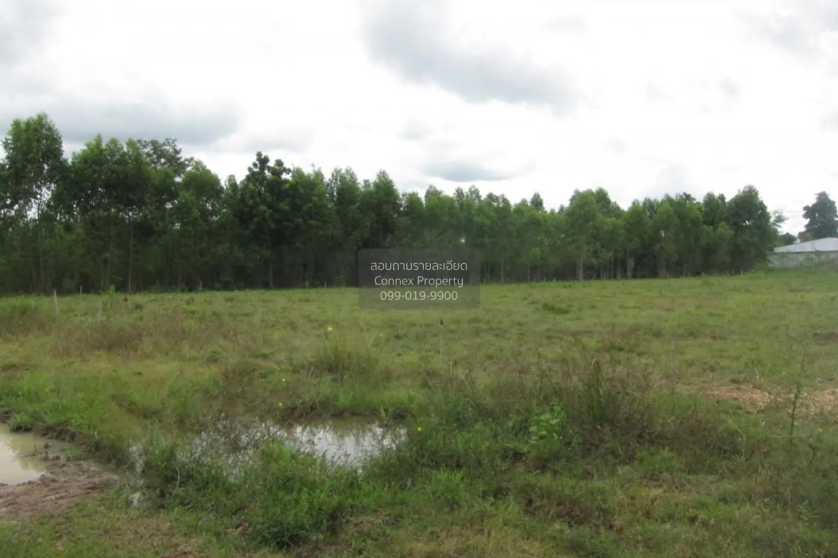 For Sale Empty land (Ban Non, Nong Yai) , Phak Kha , Watthana Nak