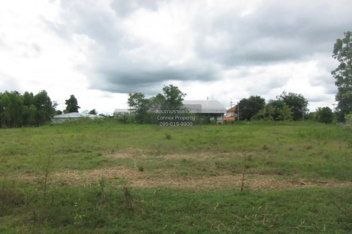 For Sale Empty land (Ban Non, Nong Yai) , Phak Kha , Watthana Nak