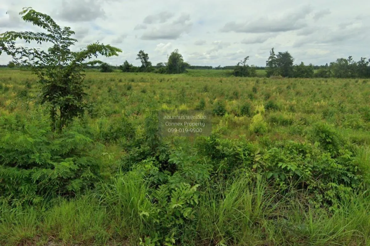 For Sale Empty land, Ban Non-Nong Yai (SorKor.4012) , Phak Kha ,  2