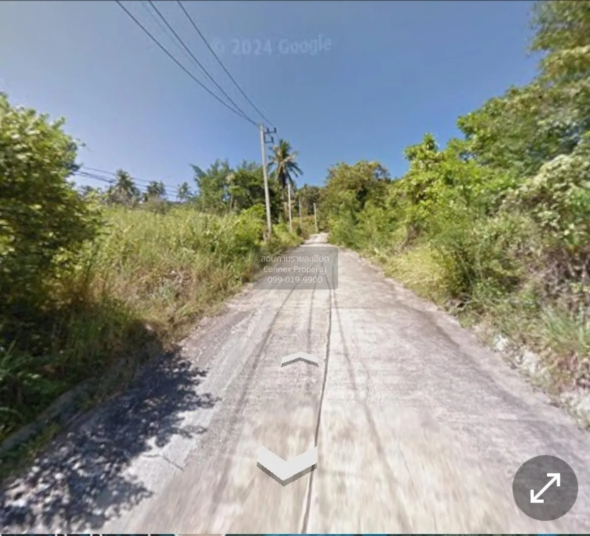 ขายที่ดินว่าง,สมุย,สุราษฎร์ธานี อ่างทอง เกาะสมุย สุราษฎร์ธานี CX- 1