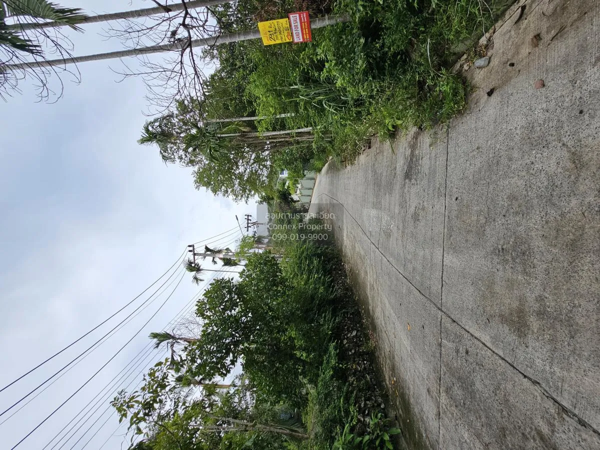 ขายที่ดินว่าง,สมุย,สุราษฎร์ธานี อ่างทอง เกาะสมุย สุราษฎร์ธานี CX- 3