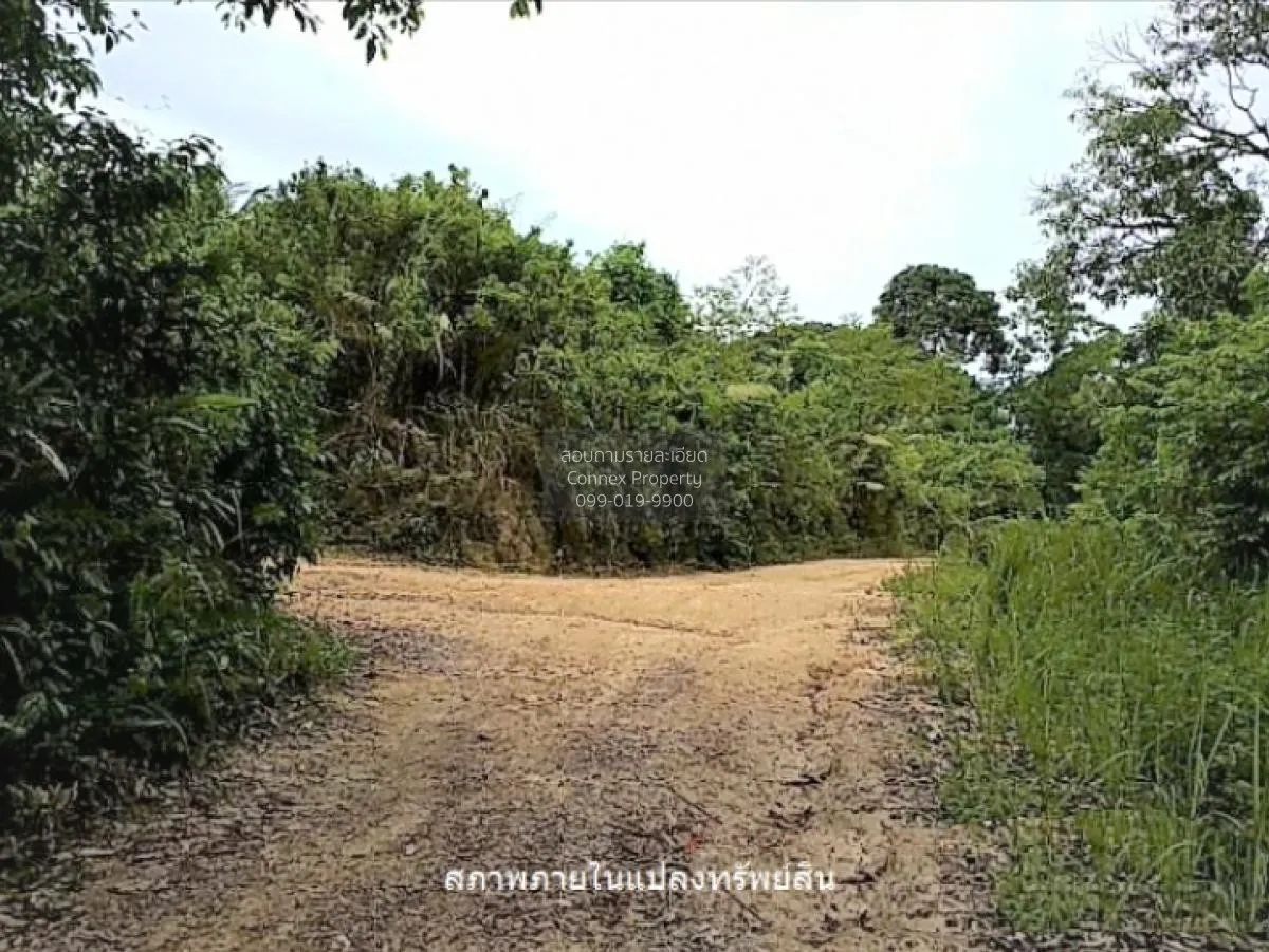 ขายที่ดินว่าง,สมุย,สุราษฎร์ธานี อ่างทอง เกาะสมุย สุราษฎร์ธานี CX-