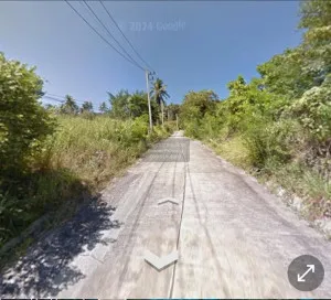 ขายที่ดินว่าง,สมุย,สุราษฎร์ธานี อ่างทอง เกาะสมุย สุราษฎร์ธานี CX-109284