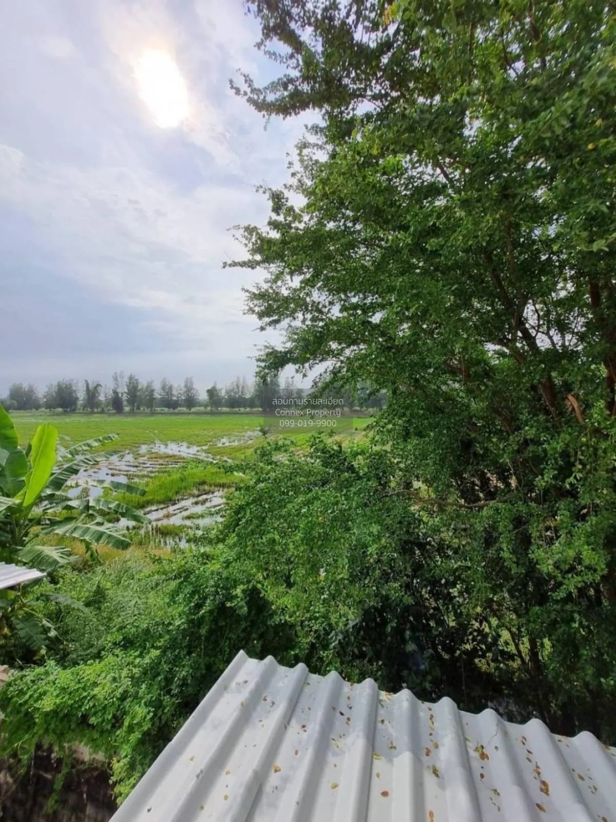 ขายทาวน์เฮ้าส์/ทาวน์โฮม  บ้านศรีประจักษ์ 7 บางบัวทอง บางบัวทอง นน