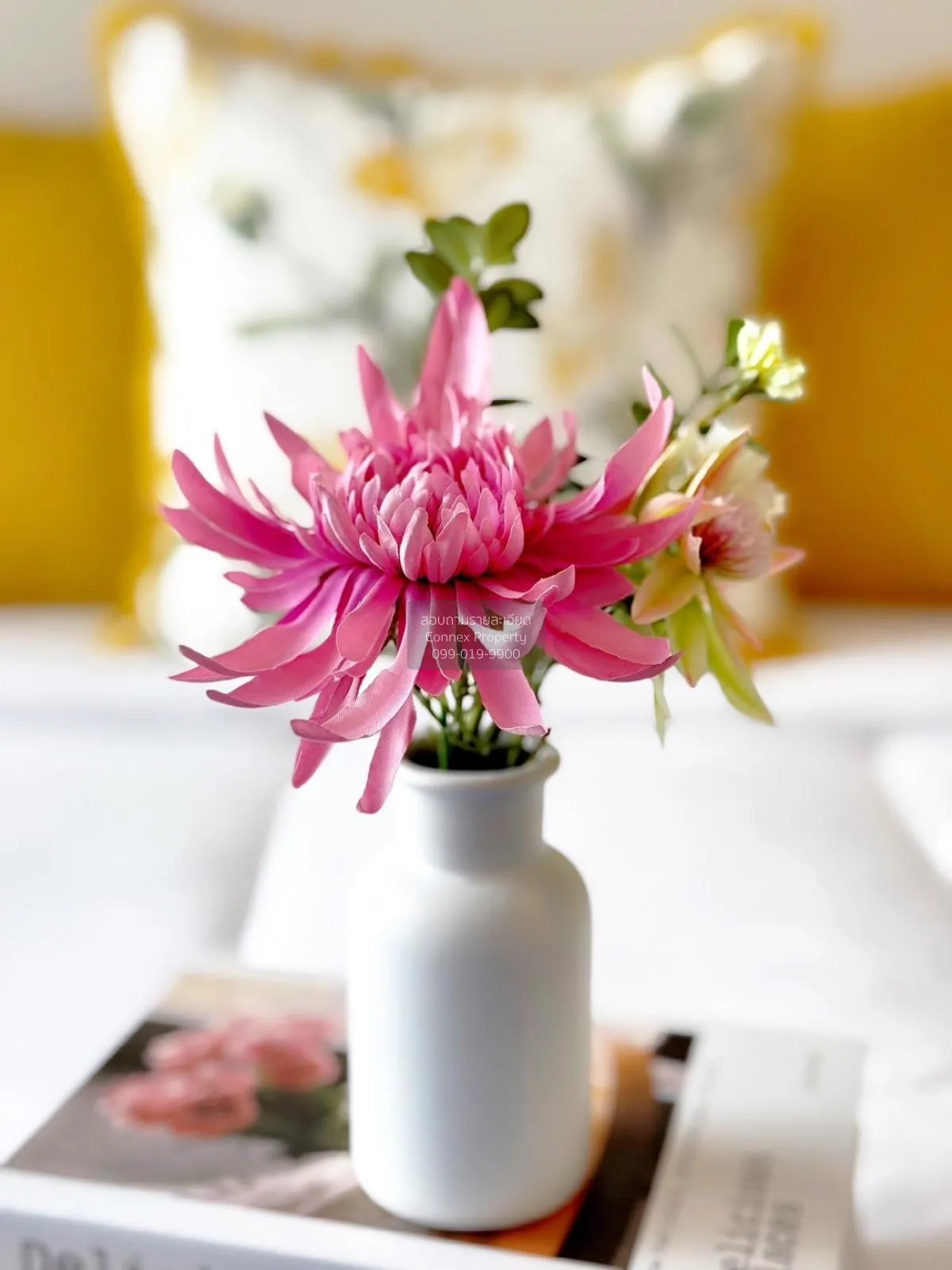 เช่าคอนโด  ชีวาทัย เกษตร-นวมินทร์ เสนานิคม เขต จตุจักร กรุงเทพ CX