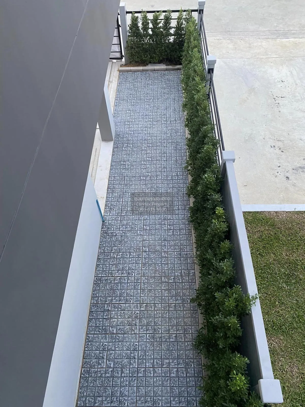 เช่าทาวน์เฮ้าส์/ทาวน์โฮม  พลีโน่ สุขุมวิท - บางนา 2 บางพลี บางพลี