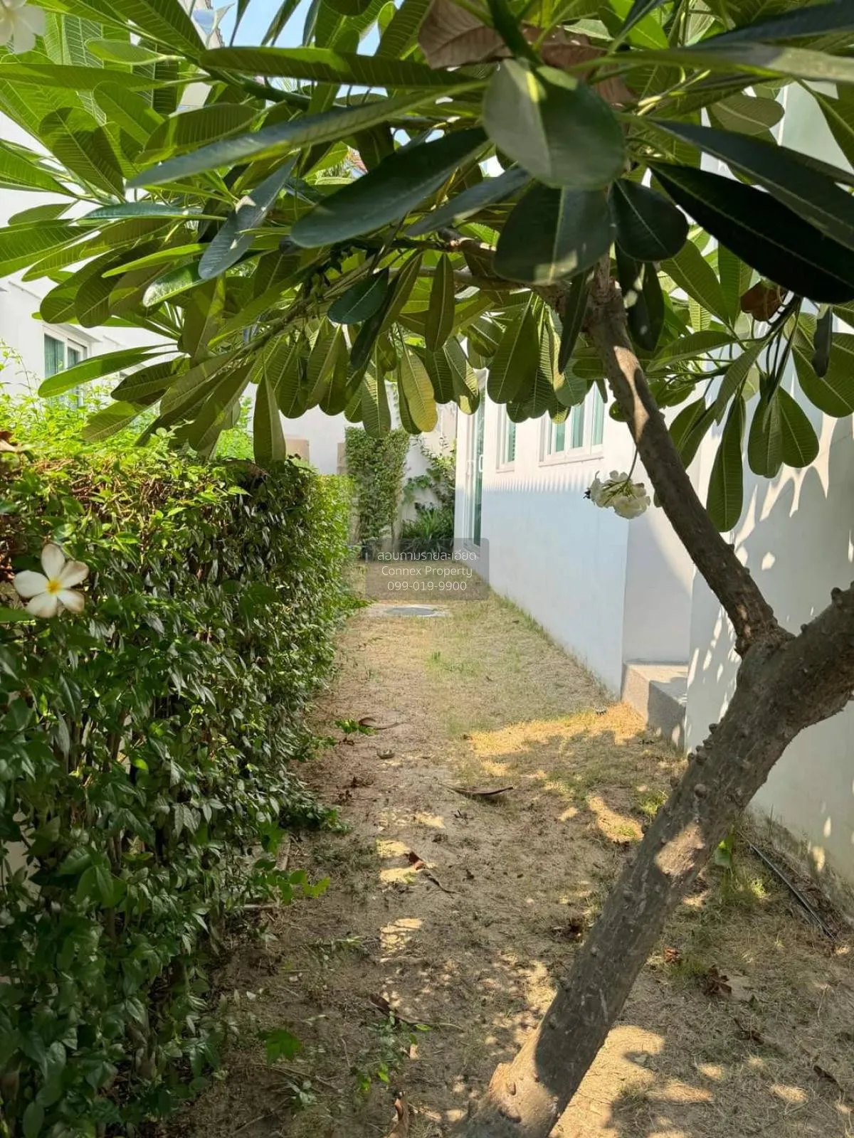 ขายบ้าน  ชวนชื่น พาร์ค อ่อนนุช - วงแหวน ดอกไม้ เขต ประเวศ กรุงเทพ 3