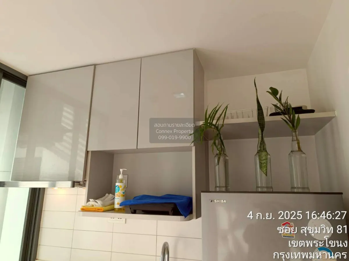 FOR RENT condo , Ideo Mobi Sukhumvit , BTS-On Nut , Bang Chak , P 4