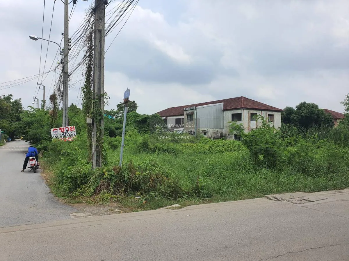 เช่าปล่อยเช่าที่ดินเปล่า ประเวศ เขต ประเวศ กรุงเทพ CX-110803