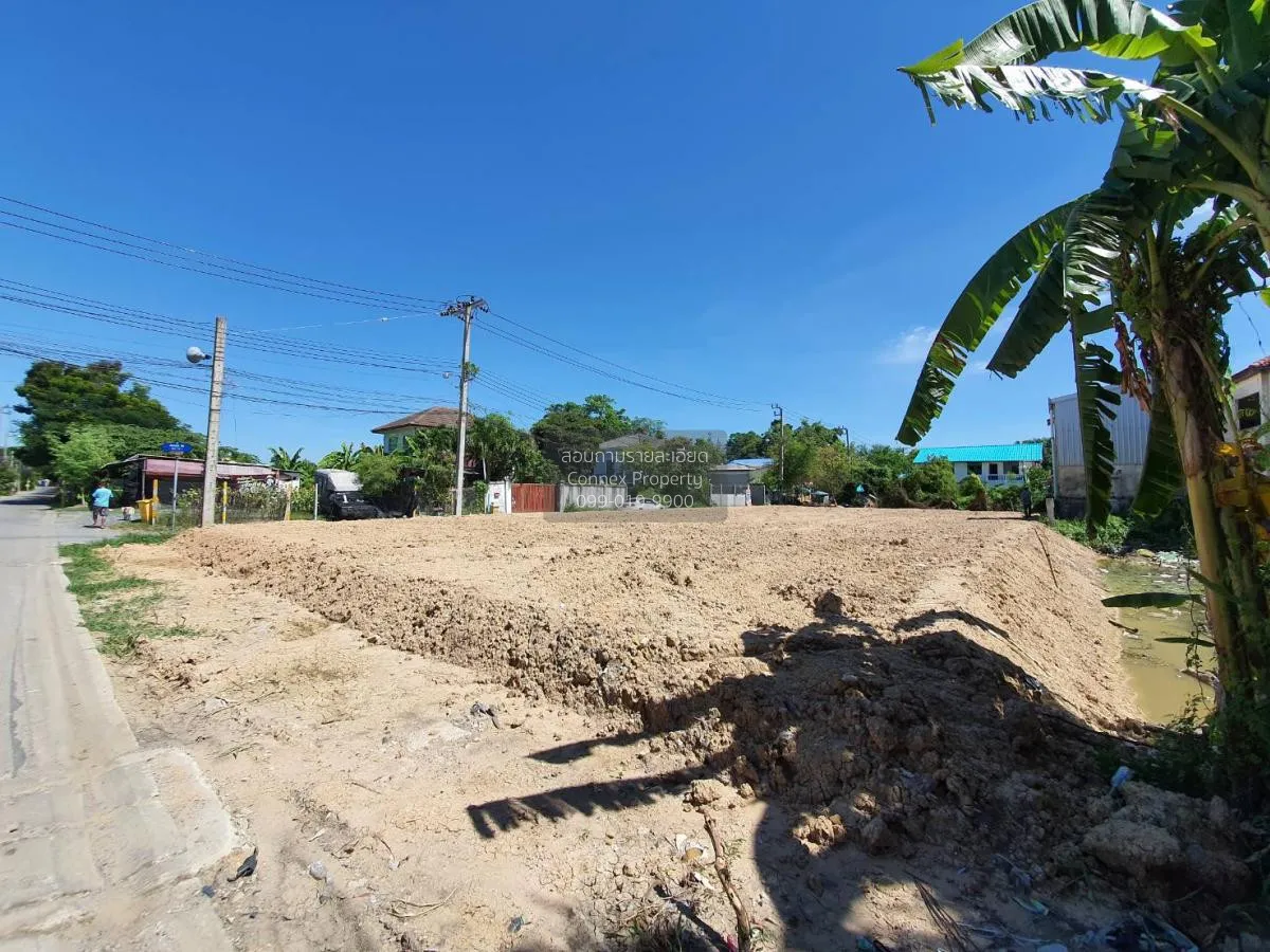 เช่าปล่อยเช่าที่ดินเปล่า ประเวศ เขต ประเวศ กรุงเทพ CX-110803