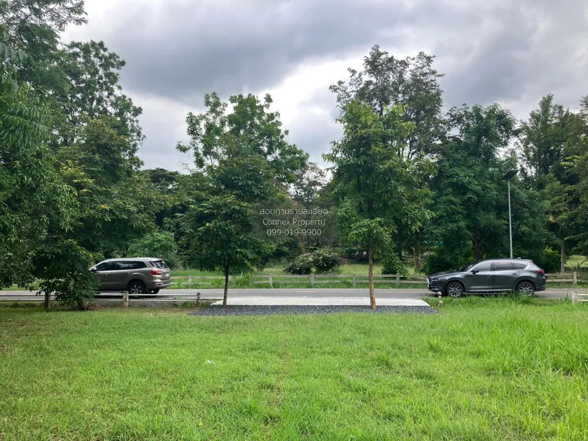 For Sale Land for sale, Muak Lek Valley, 2 plots next to each oth 2