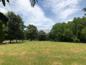 For Sale Land for sale, Muak Lek Valley, 2 plots next to each other, beautiful location near the Royal Thai Air Force Academy, Khao Yai National Park , Mittraphap , Muak Lek , Saraburi , CX-110891