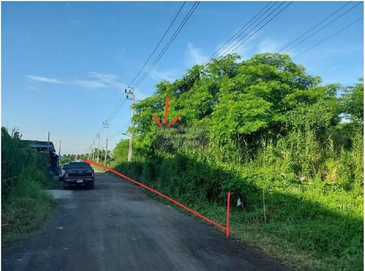 ขายที่ดินว่างเปล่า ซอย สายไหม 74/ก. สายไหม เขต สายไหม กรุงเทพ CX- 2