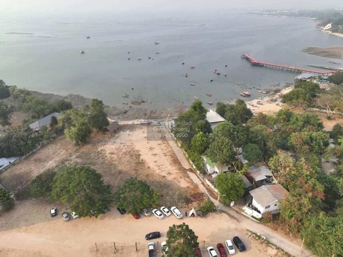 ขายที่ดินติดชายทะเล ตำบลบางพระ อำเภอศรีราชา จังหวัดชลบุรี บางพระ 