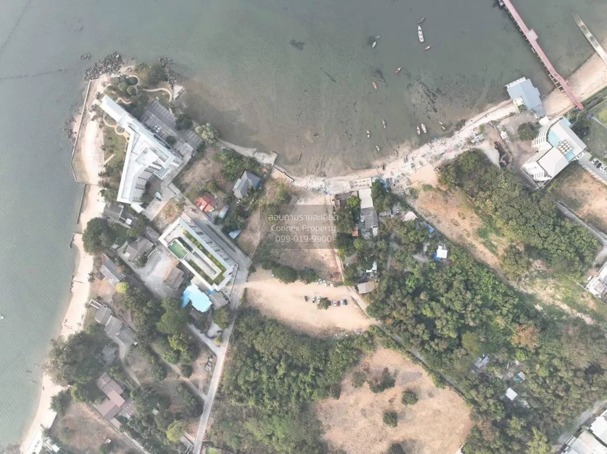 ขายที่ดินติดชายทะเล ตำบลบางพระ อำเภอศรีราชา จังหวัดชลบุรี บางพระ 