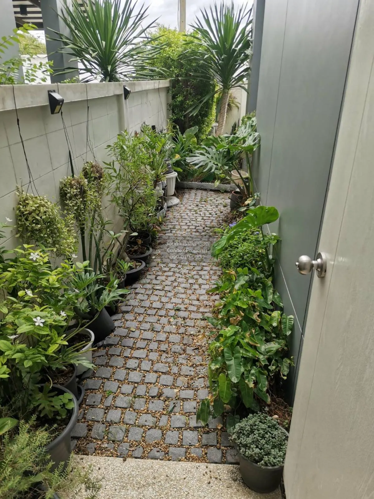 For Sale Townhouse/Townhome  , Novo Ville Puttasakorn , Suan Luan 3