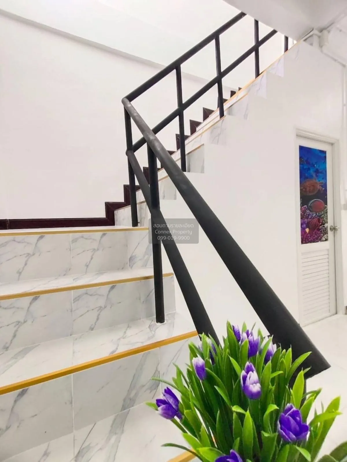 ขายทาวน์เฮ้าส์/ทาวน์โฮม  ฉัตรไพลิน ระแหง ลาดหลุมแก้ว ปทุมธานี CX-