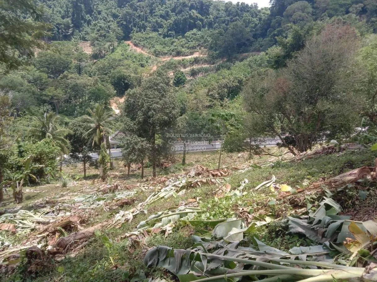 ขายที่ดิน ติดถนนเมน 4018 ใกล้หาดนายทอน 1.6 กม. สาคู ถลาง ภูเก็ต C 1