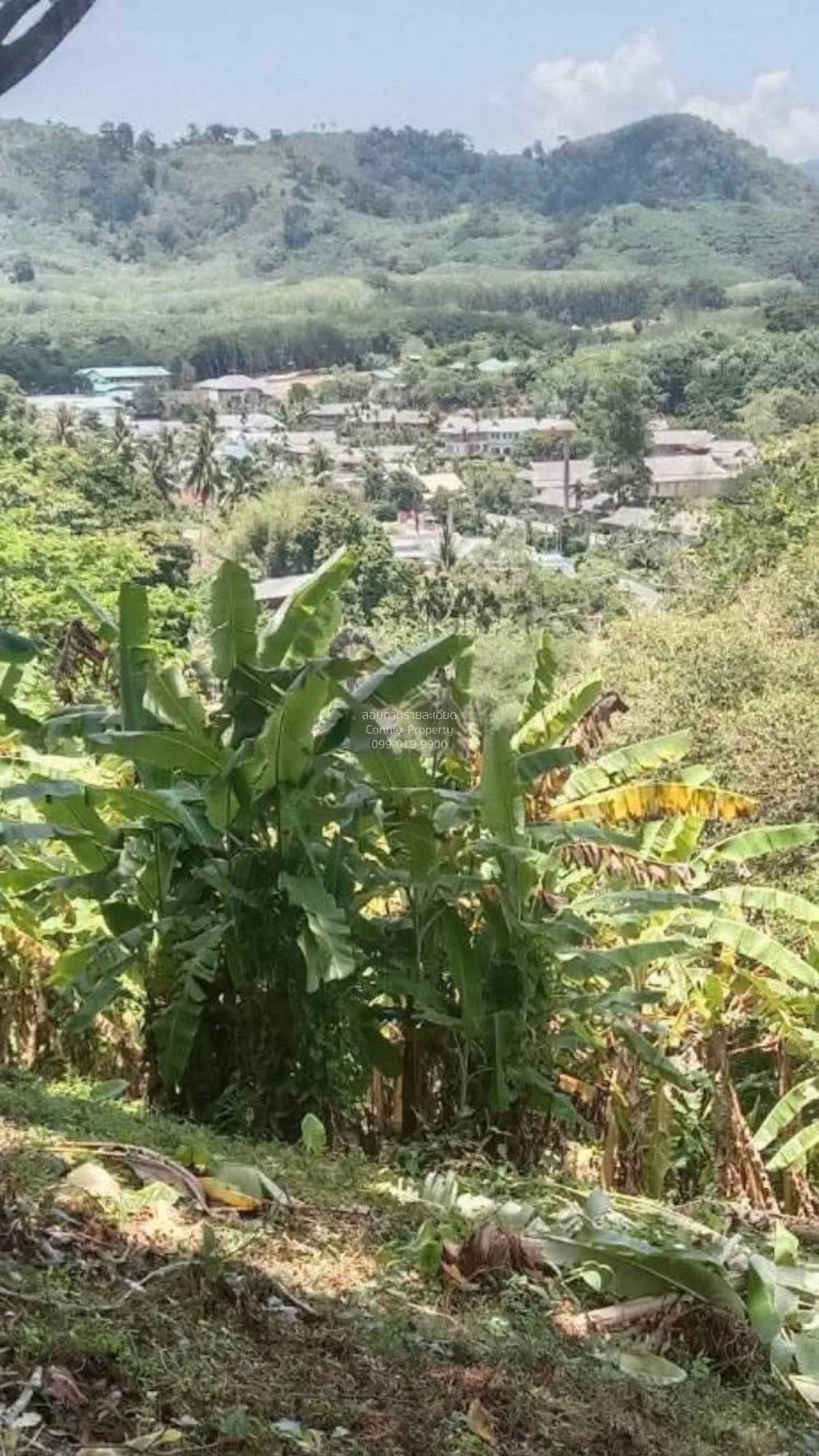 ขายที่ดิน ติดถนนเมน 4018 ใกล้หาดนายทอน 1.6 กม. สาคู ถลาง ภูเก็ต C 2